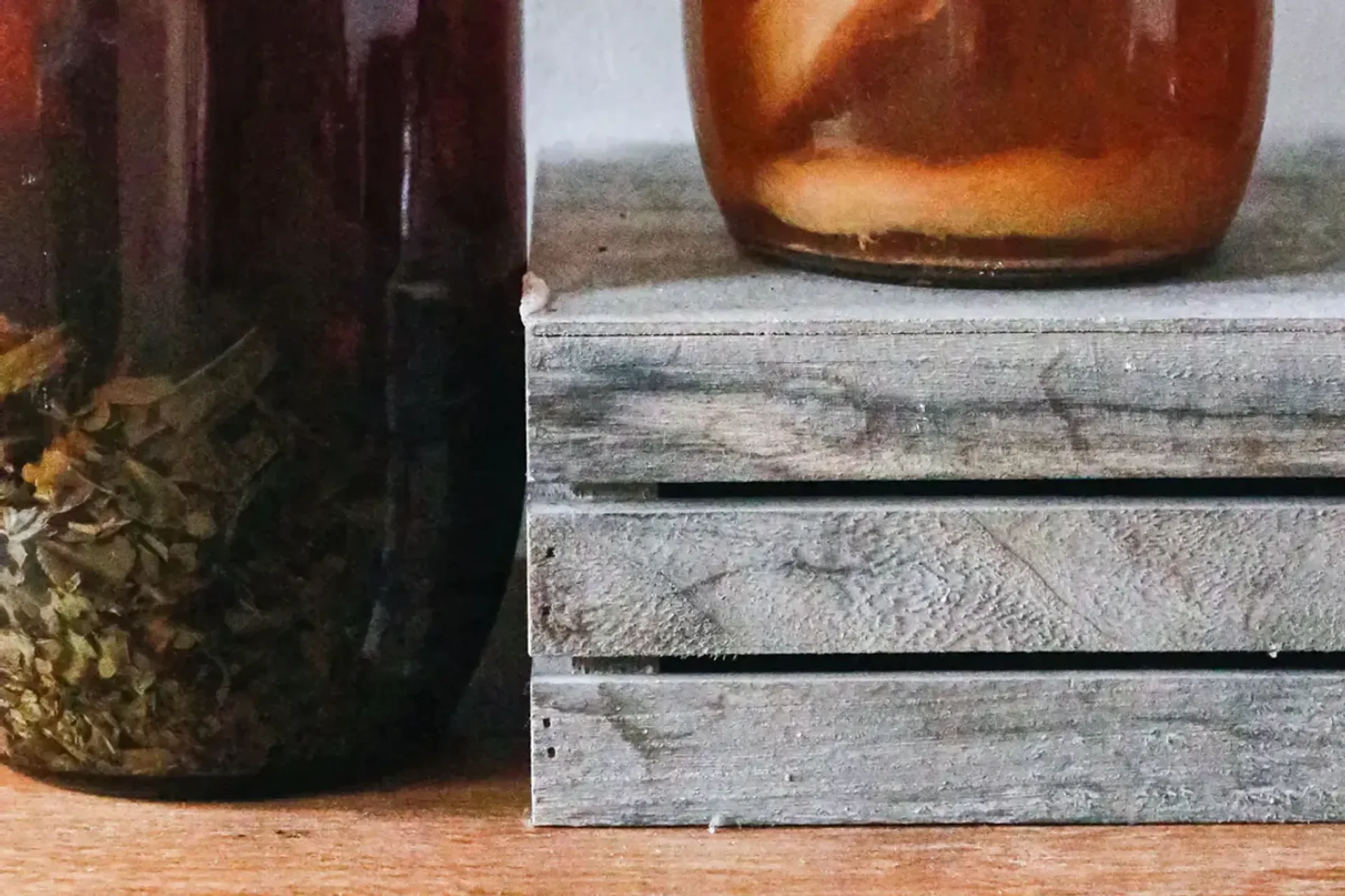 Storing live kombucha at home without a science degree — featured journal photograph